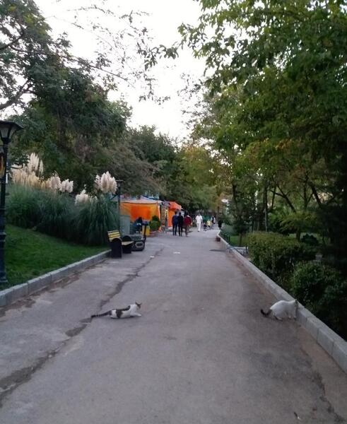 عکس پارک بهشت مادران تهران