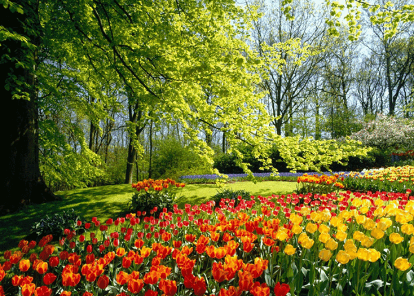 عکس طبیعت های ایران