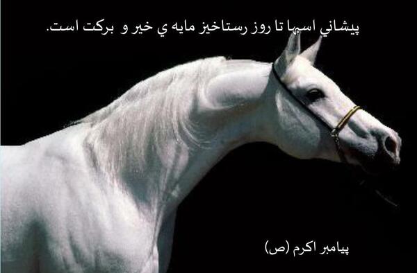 عکس نوشته های طبیعی