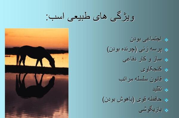 عکس نوشته های طبیعی