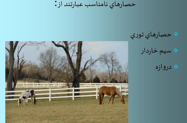 عکس نوشته های طبیعی