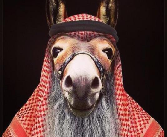 عکس ضد مرد