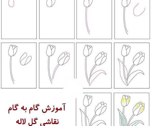 عکس نقاشی ساده گل لاله