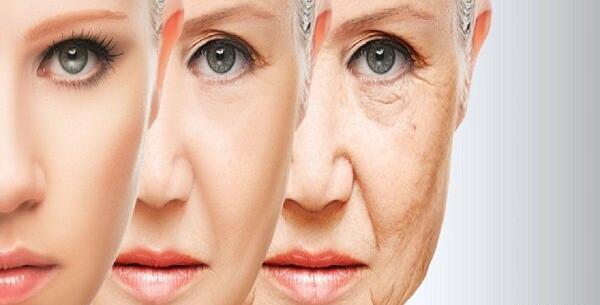 عکس پیری نورمن
