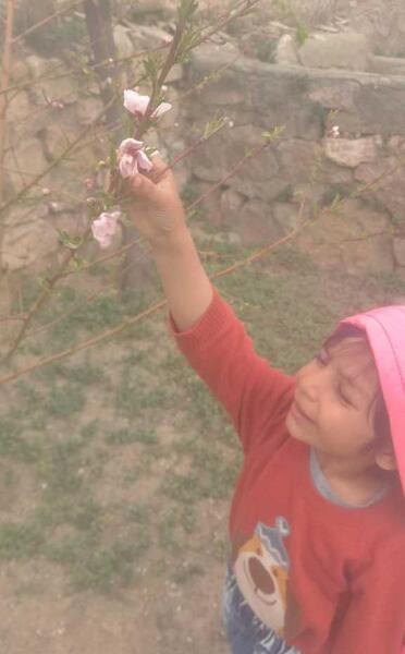 عکس عطرآگین