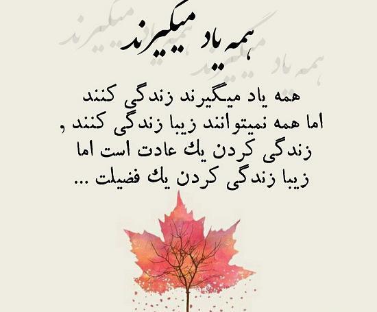 عکس نوشته زندگی میچرخه عین تاس