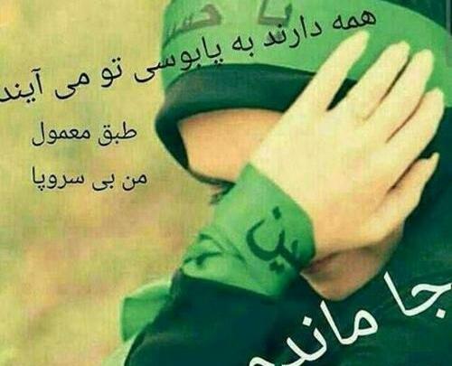 عکس عاشورا بین الحرمین