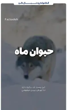 عکس ماه تولدت چیه