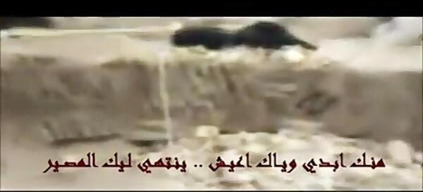 عکس قبر امام حسین داخل ضریح