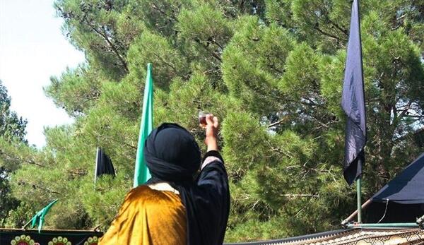 عکس شبیه خوانی حضرت عباس