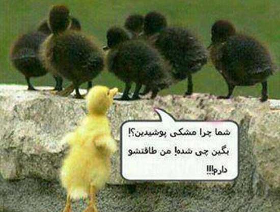 عکس نوشته خنده دار هری پاتر
