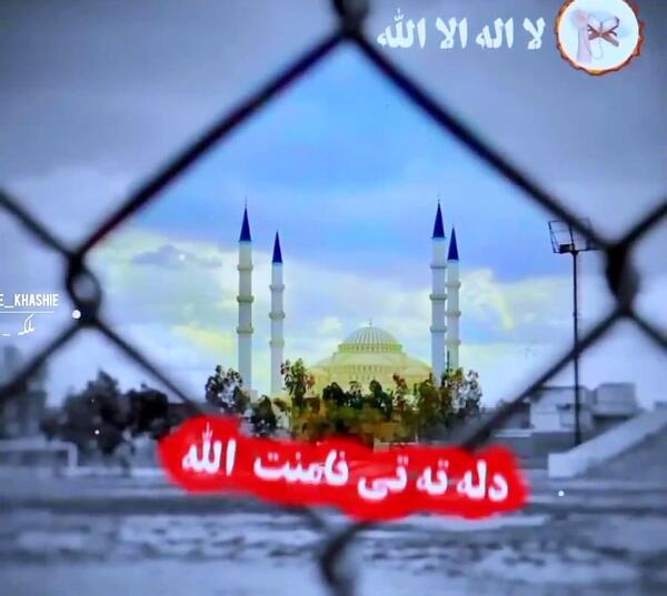 عکسی از کربلا معلی