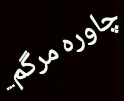 عکس پروفایل طرفدار استقلال