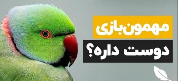 عکس جلیقه پرواز طوطی