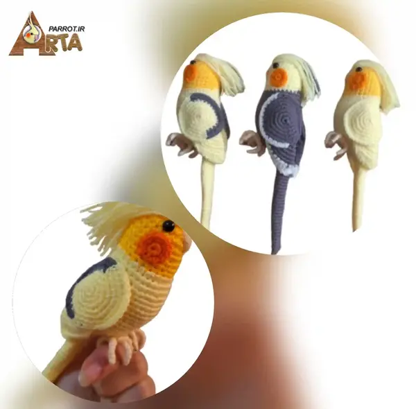 عکس جلیقه پرواز طوطی