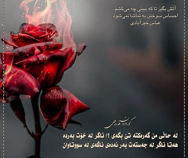 عکس نوشته شعر کردی