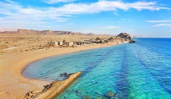 عکس کوسه های دریای خلیج فارس