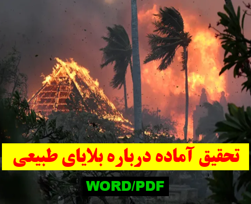 عکس فیل کلاس اول