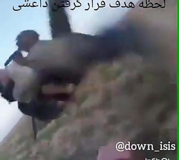 عکس سگ علی پلنگ وقتی کشته شد