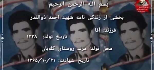 عکس احمد ذوالقدر