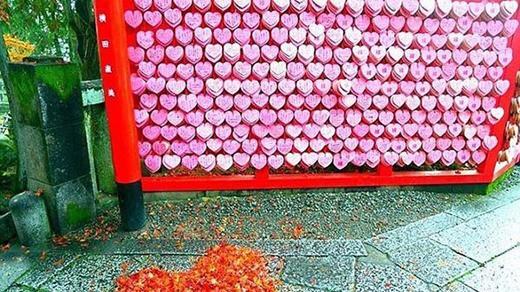 عکس نقاشی با برگ پاییزی