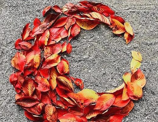 عکس نقاشی با برگ پاییزی