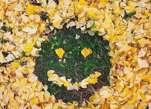 عکس نقاشی با برگ پاییزی
