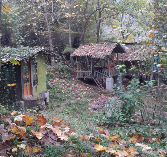 عکسی از شمال ایران
