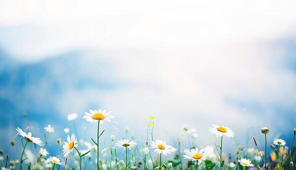 عکس طبیعت بهاره