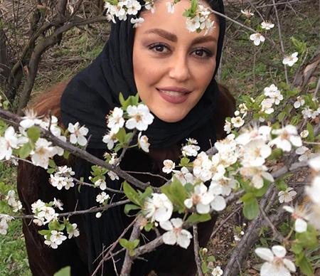 عکس شقایق تاجیک