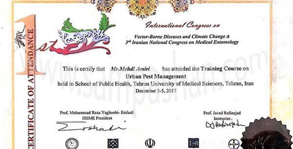 عکس ساس نی نی سایت