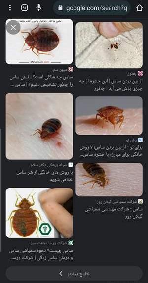 عکس ساس نی نی سایت