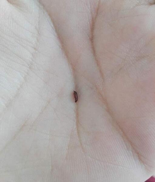 عکس ساس نی نی سایت