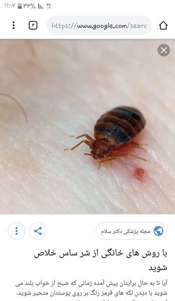 عکس ساس نی نی سایت