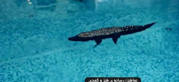 عکس پشت صحنه آینه بغل تمساح
