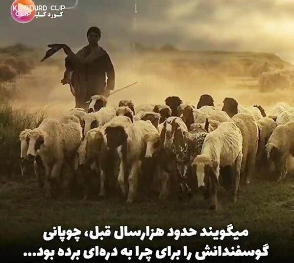 عکس قرآن نگل کردستان