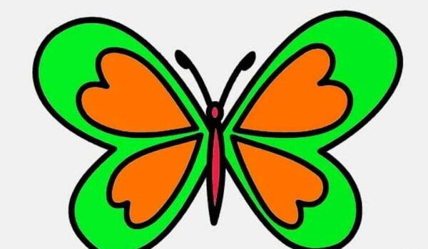 عکس پروانه زیبا نقاشی