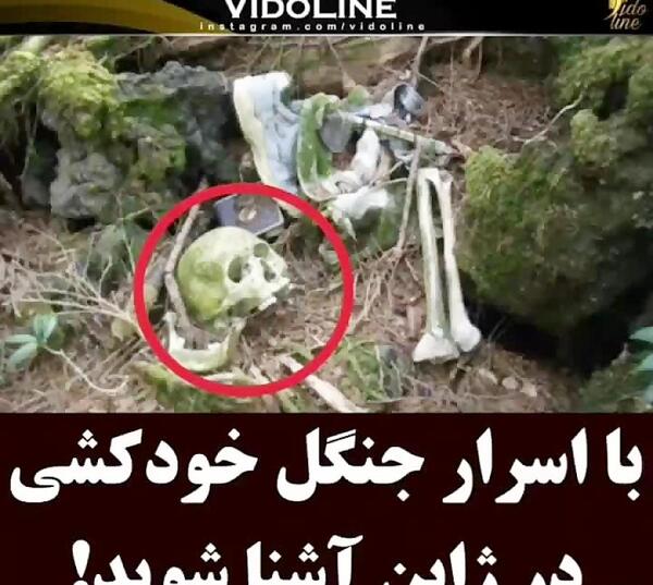 عکس لشکر جن