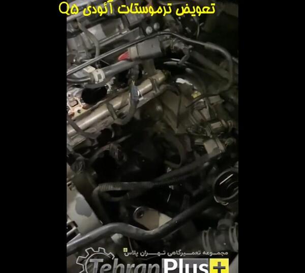 عکس ال نود اسپرت شده