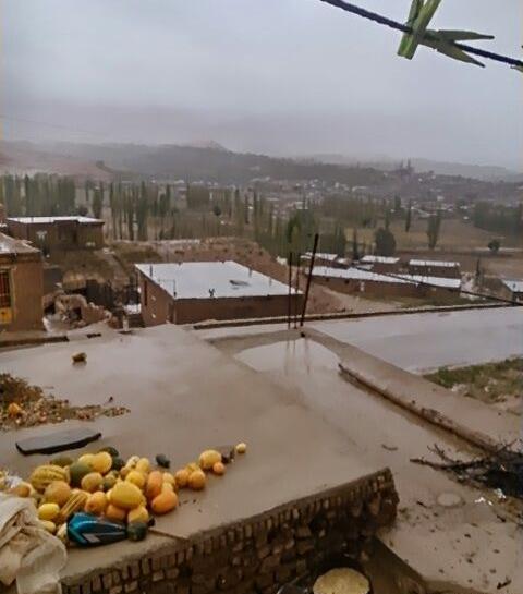 عکس زمین روستا