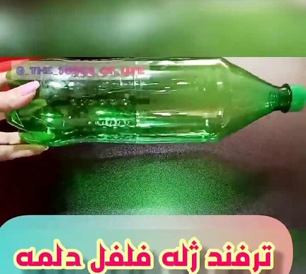 عکس ژله فلفل دلمه