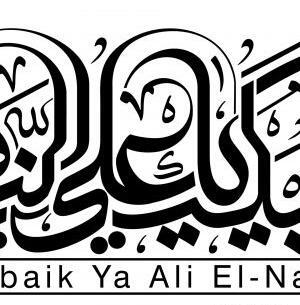 عکس شهید ابراهیم هادی لایه باز