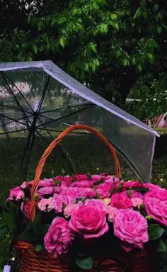 عکس نوشته صبح بخیر ویسگون