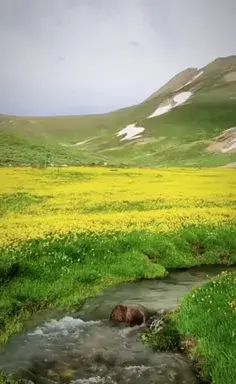 عکس نوشته صبح بخیر ویسگون
