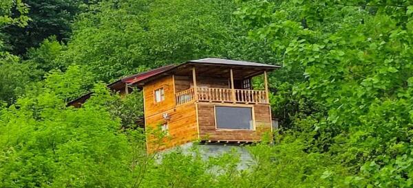 عکس کلبه ی چوبی وسط جنگل