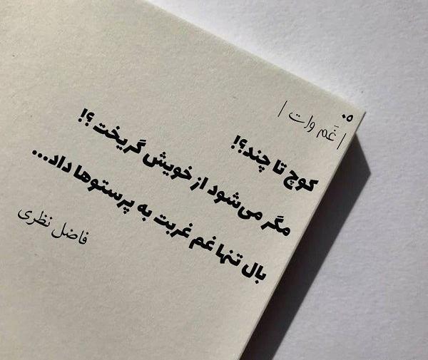 عکس پروفایل جدید خاص متن دار