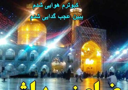 عکس پروفایل واتساپ امام رضا