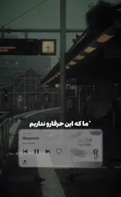 عکس کیوت تیکی