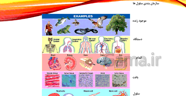عکس کتاب علوم هفتم