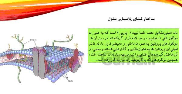 عکس کتاب علوم هفتم